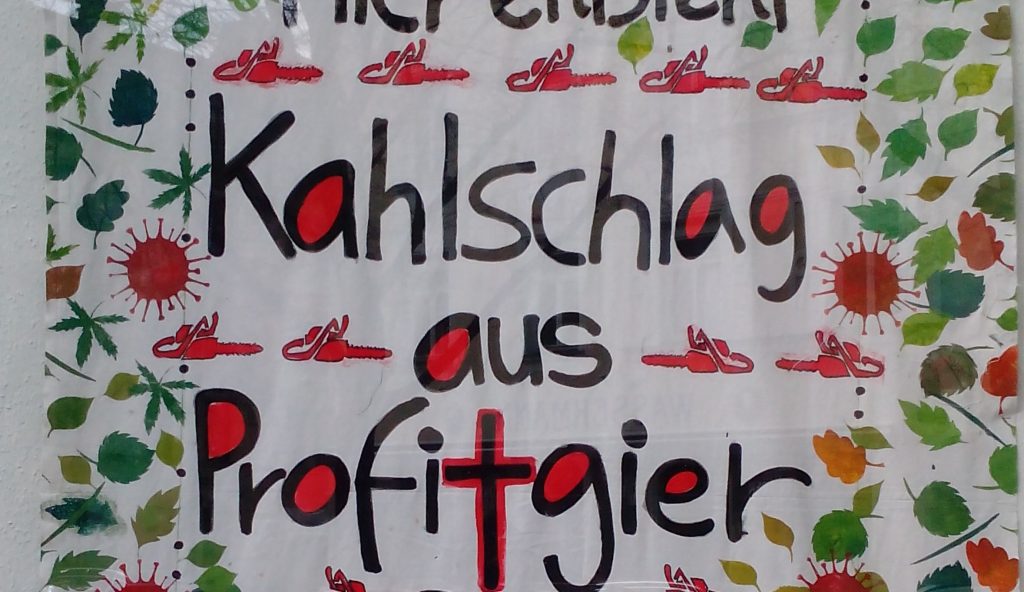 Nachverdichtung: Fällaktion in Schwabinger Innenhof