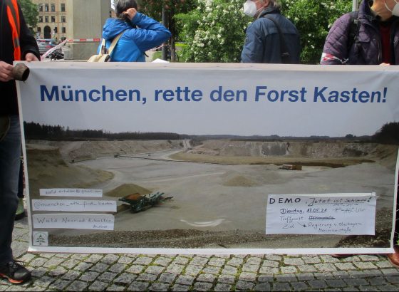 Wald, Wald, Kies – Der Streit um den Forst Kasten bei München