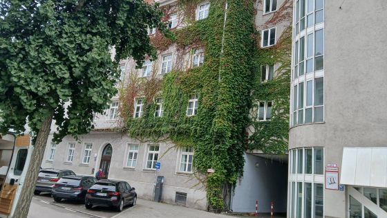 Mehr Grün für eine kühle Stadt