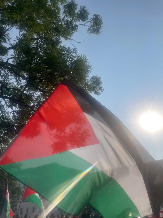 Palästina und die Madleen