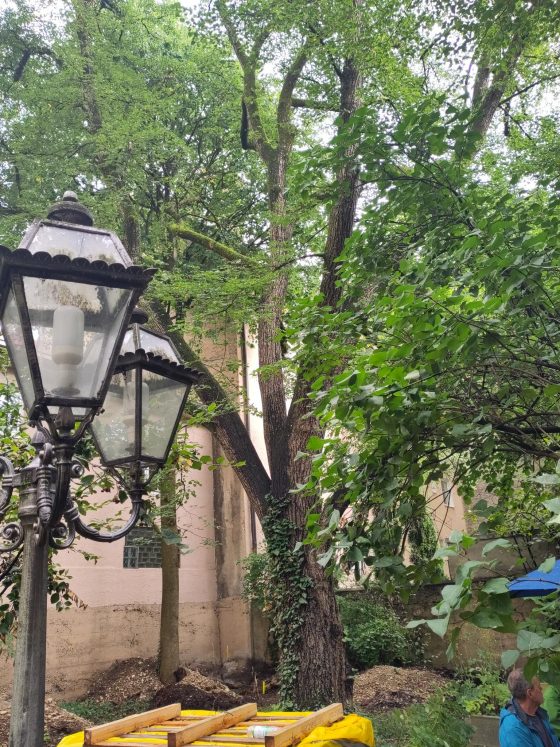 Hände weg vom grünen Hinterhof in München-Untersendling LIN25.de