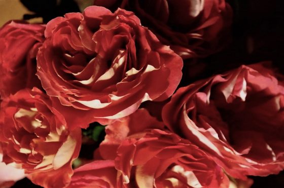 Weibliche Lust in der Beratung