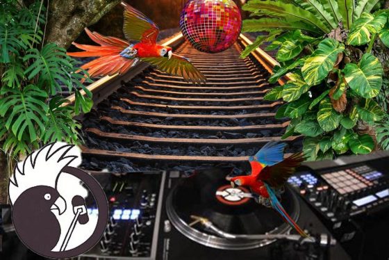 Do 02.10. – Nachtschiene bei LORA München