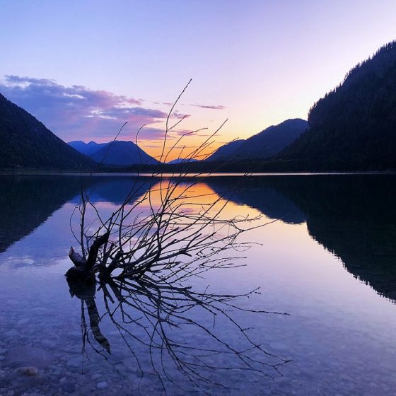 pro familia journal – 19. November – 20:00 Uhr