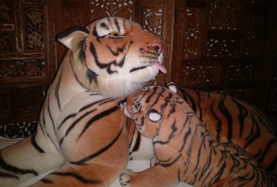 Wenn Spielzeug zur Gefahr wird