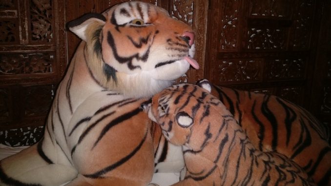 Stofftier, Foto privat