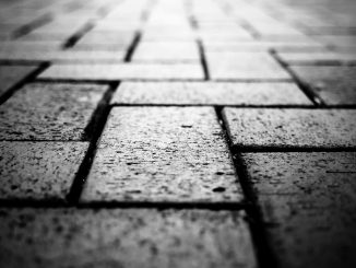 Foto von Benjamin Yang auf Unsplash