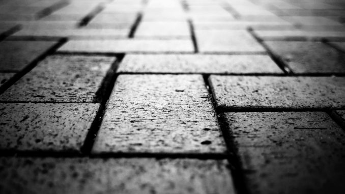 Foto von Benjamin Yang auf Unsplash